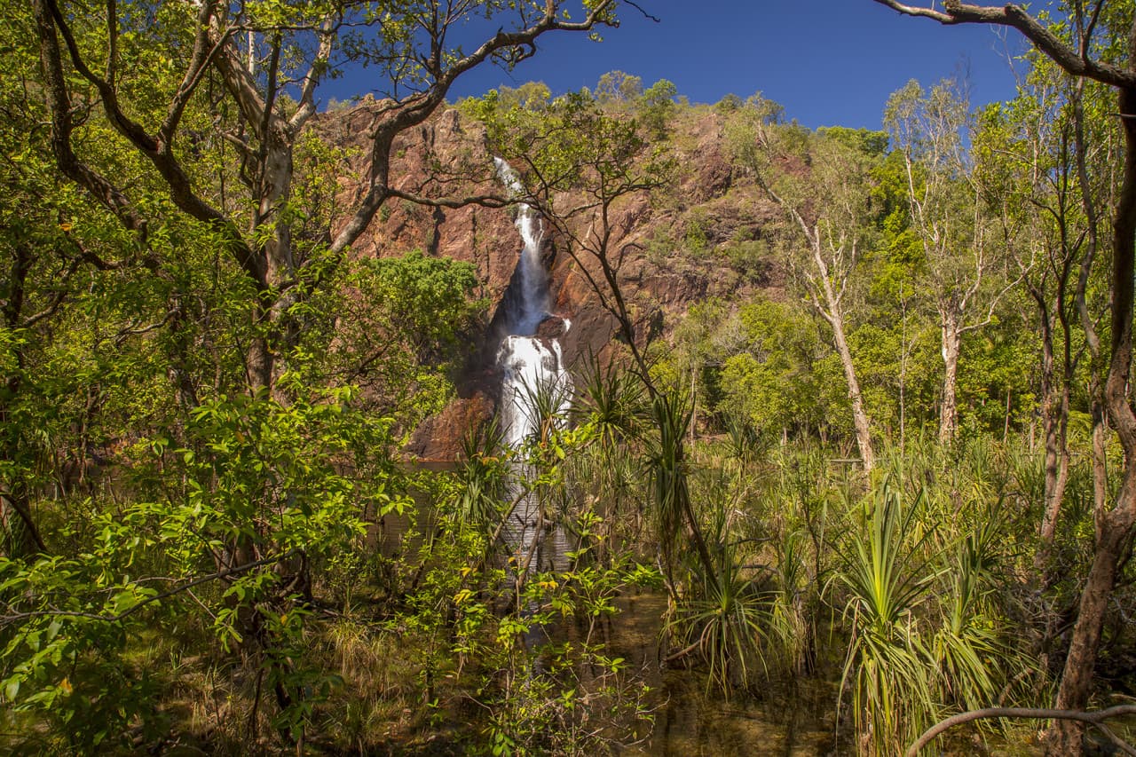 Litchfield National Park and Waterfalls Tour from Darwin - სურათი 6