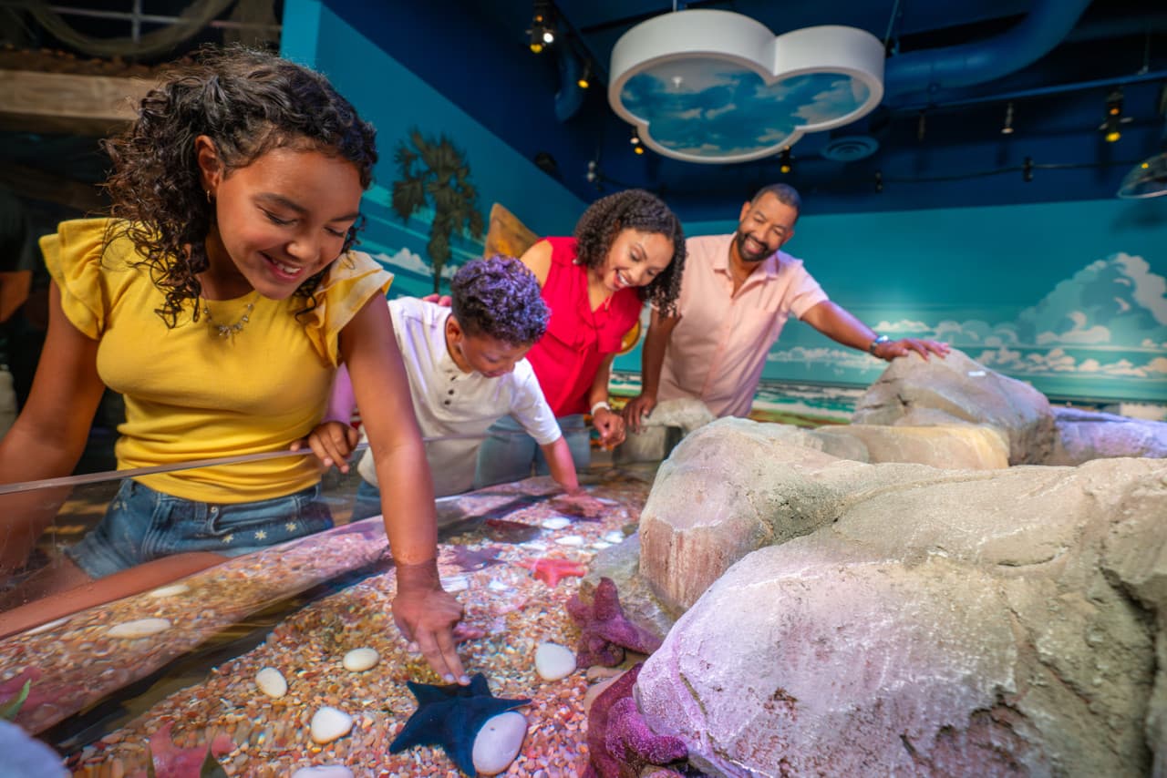 COMBO: The Merlin Florida Ticket - Admission to 7 Family Attractions - სურათი 14