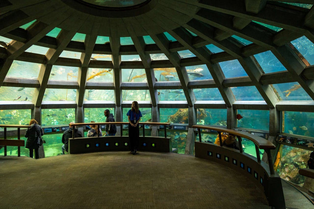 Seattle Aquarium Ticket - სურათი 2