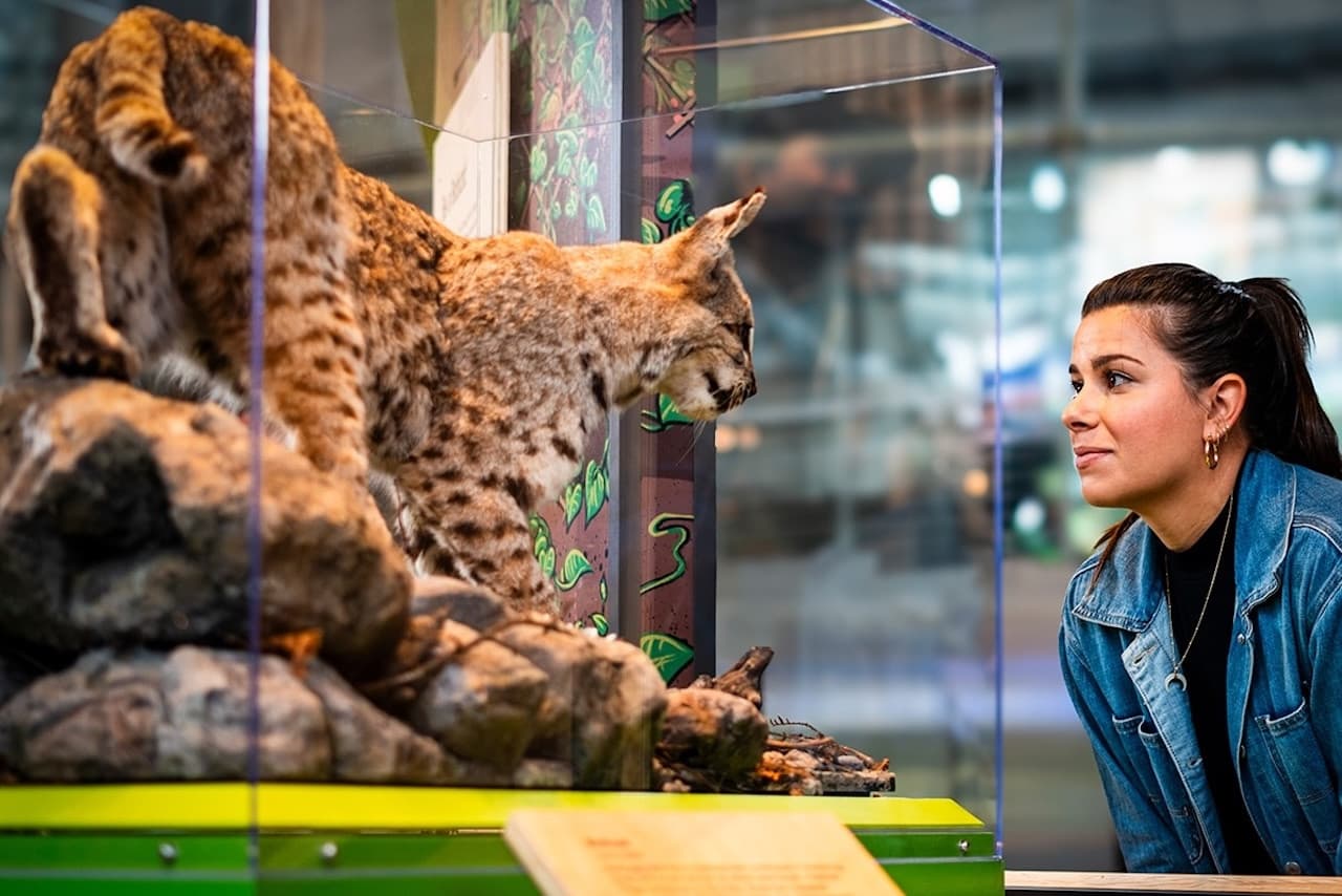 California Academy of Sciences Ticket - სურათი 13