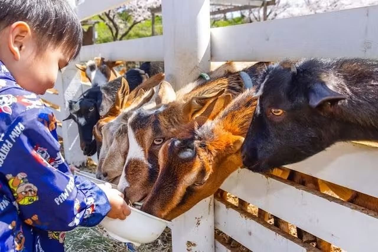Narita Dream Farm Ticket - სურათი 12