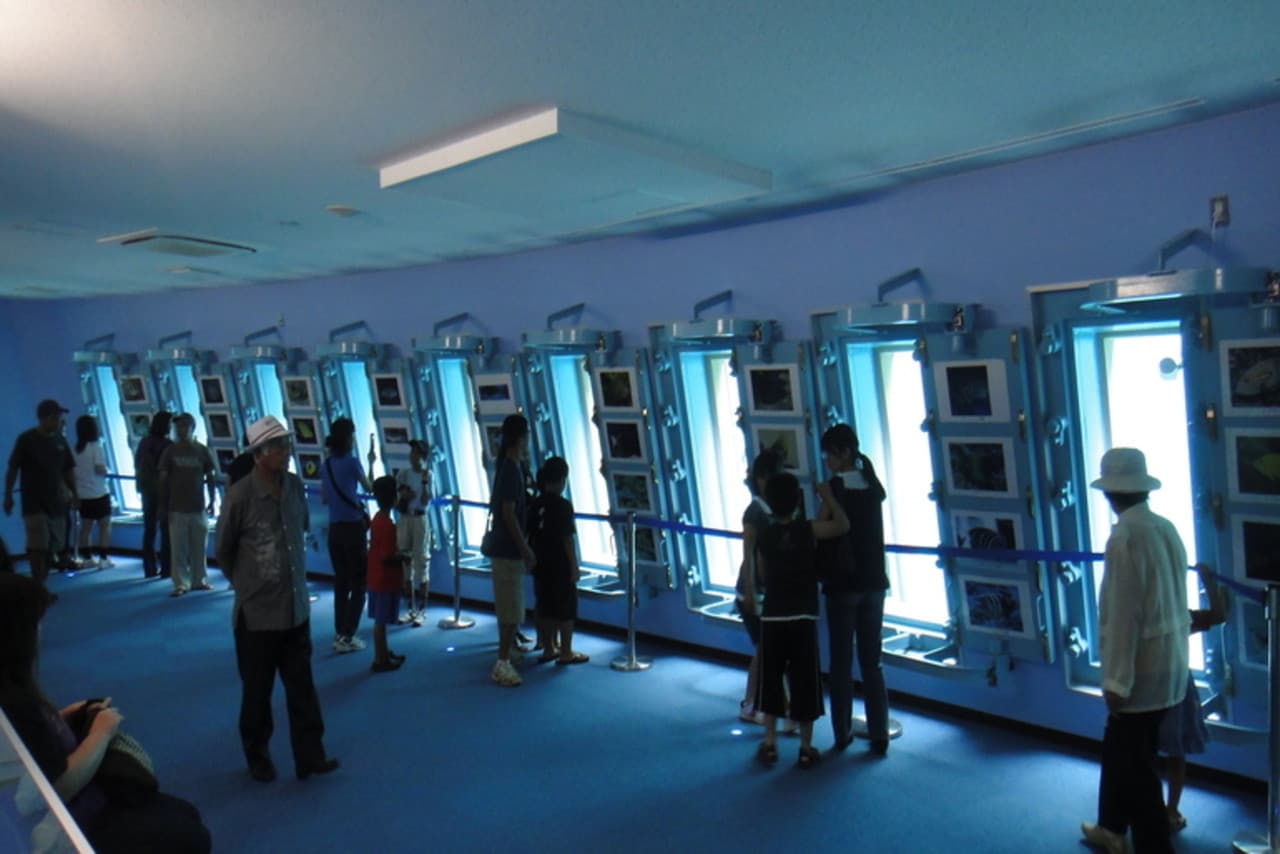 Okinawa Miyakojima Undersea Park - მთავარი სურათი
