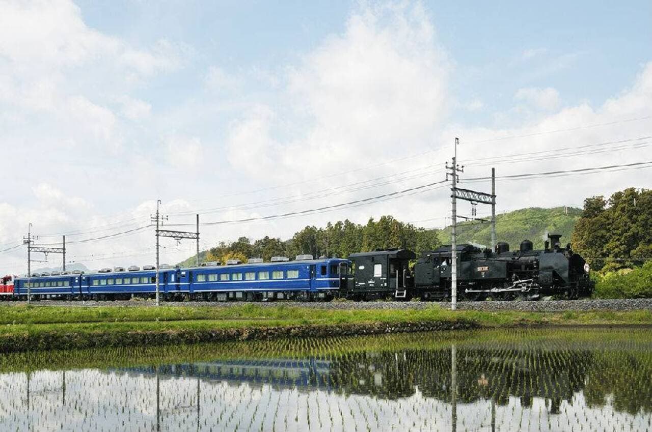 Nikko Pass All Area - სურათი 2