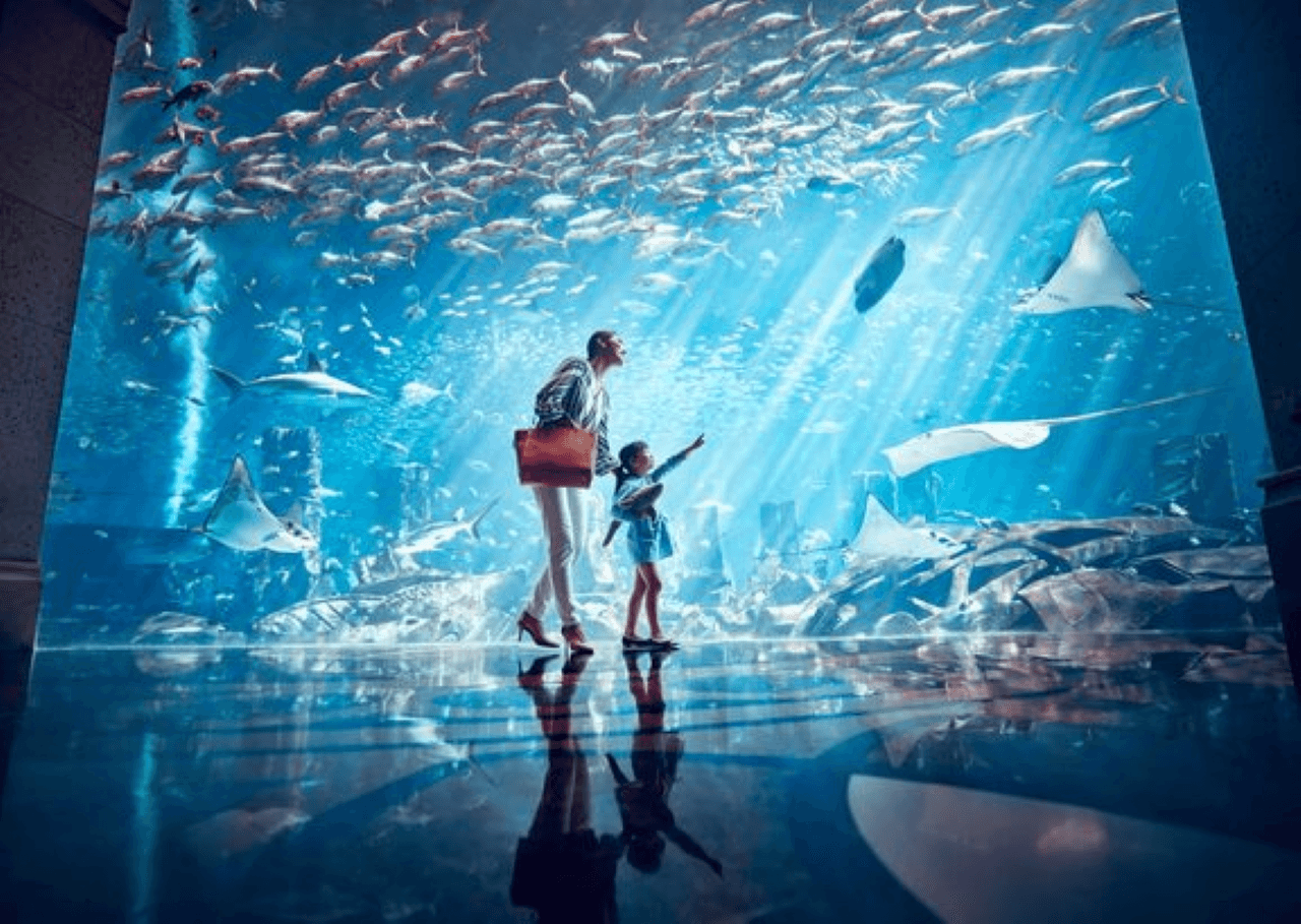 COMBO: IMG Worlds of Adventure with FREE Dubai Frame and Lost World Aquarium - სურათი 12