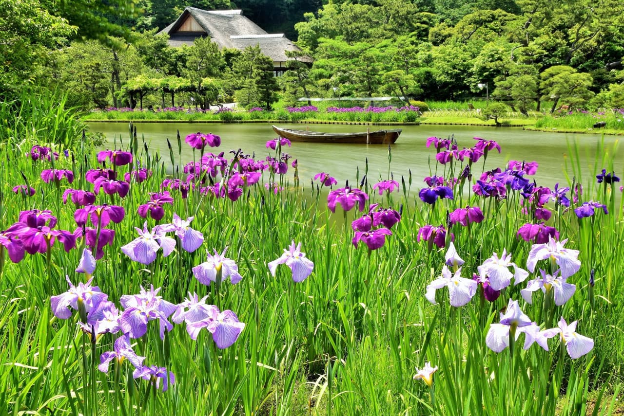 Sankeien Garden Ticket - სურათი 3