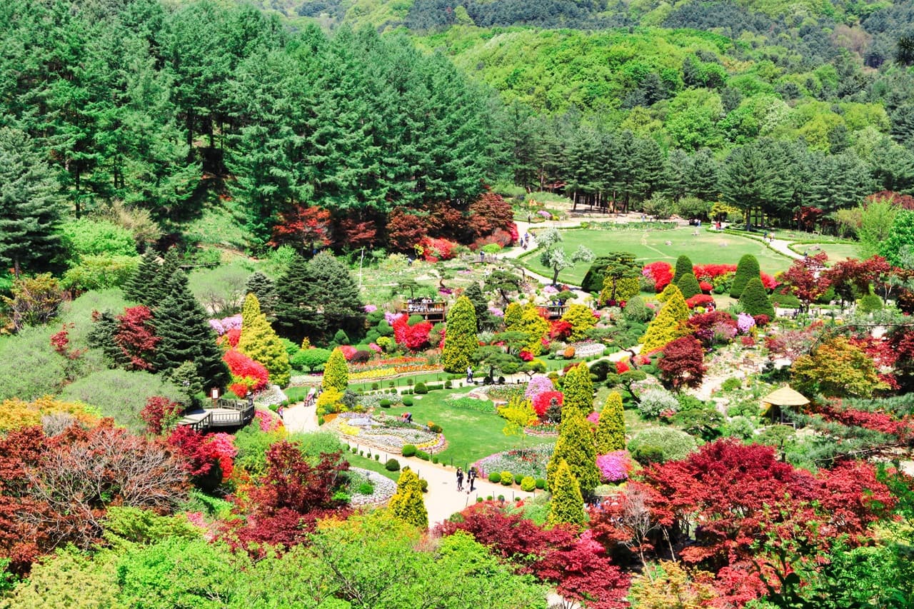 Nami Island, Mount Seorak, and Garden of Morning Calm Full-Day Tour from Seoul - სურათი 26
