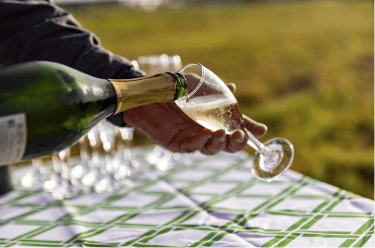 Gold Coast Hot Air Ballooning with Optional upgrade to Breakfast - სურათი 10