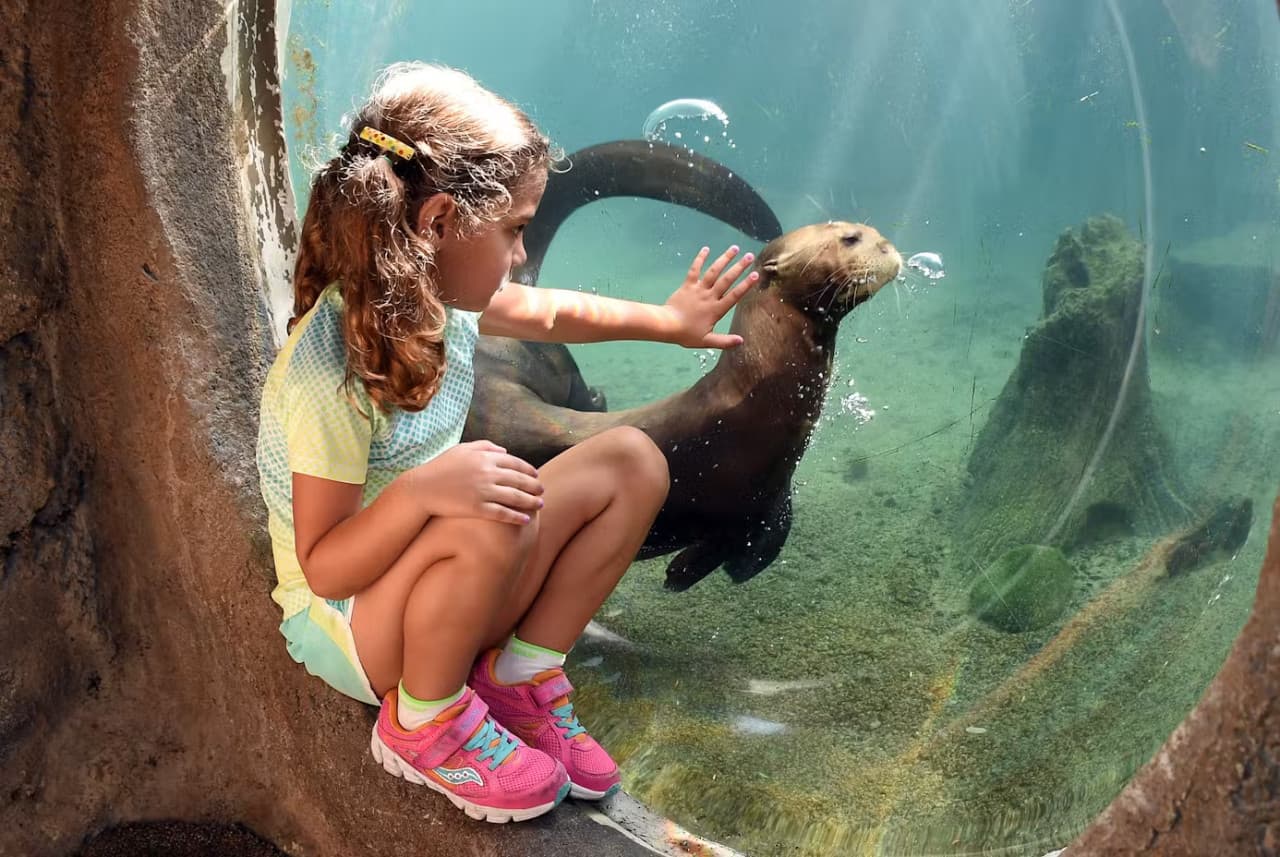 Zoo Miami Ticket - სურათი 4