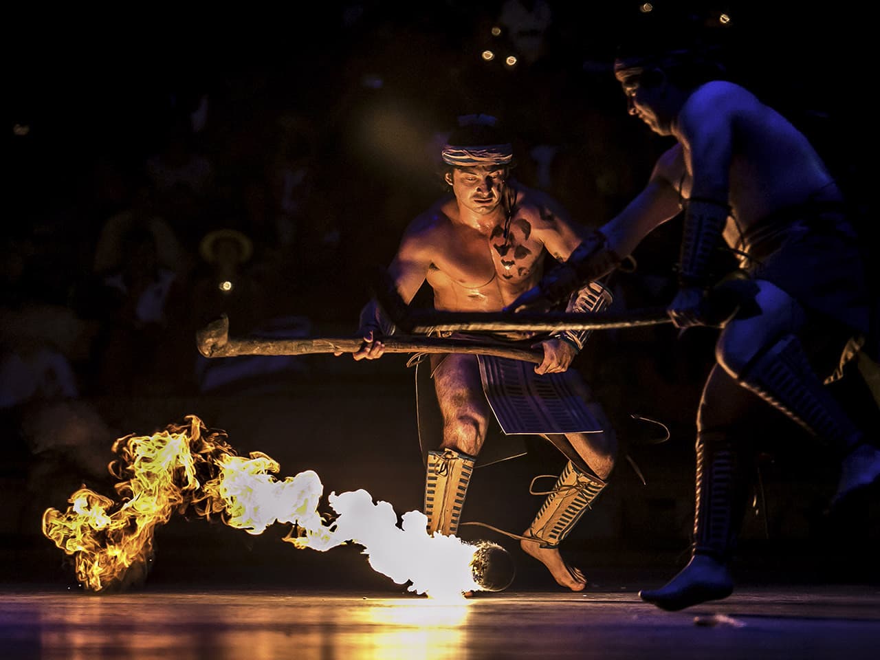 Go City Cancun All-Inclusive Pass Plus: Save up to 50% on Attractions - სურათი 11
