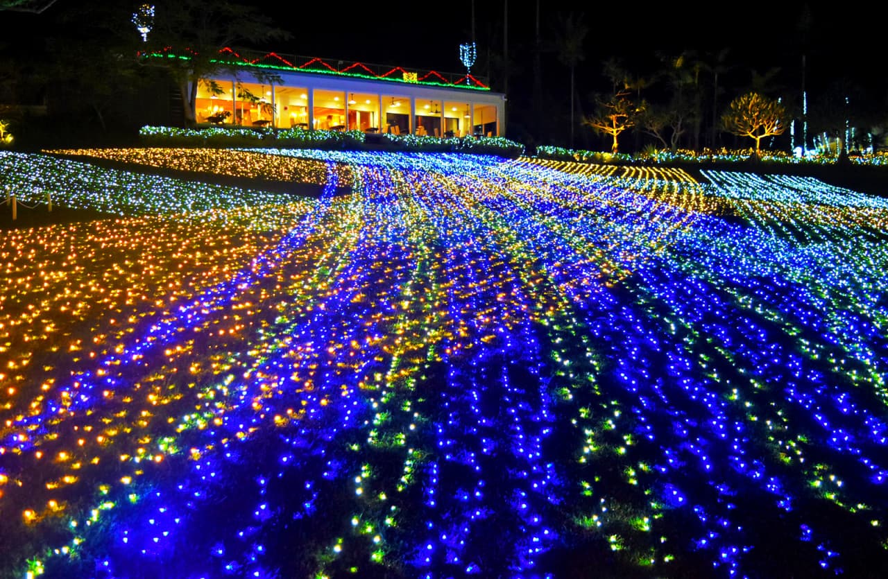 Okinawa Southeast Botanical Gardens - სურათი 19