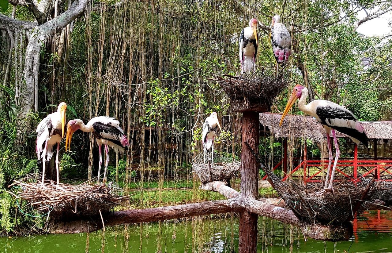 Penang Bird Park - სურათი 2