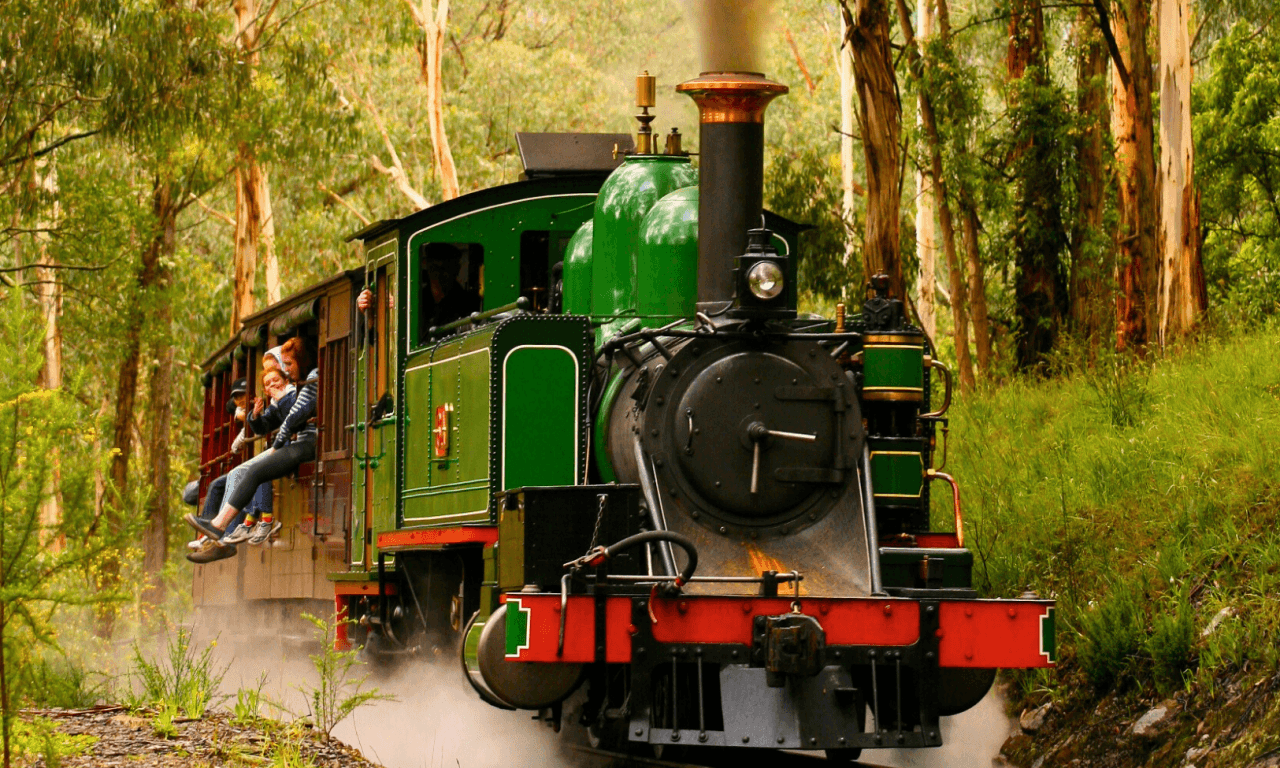 Puffing Billy Steam Train Half-Day Tour - სურათი 3