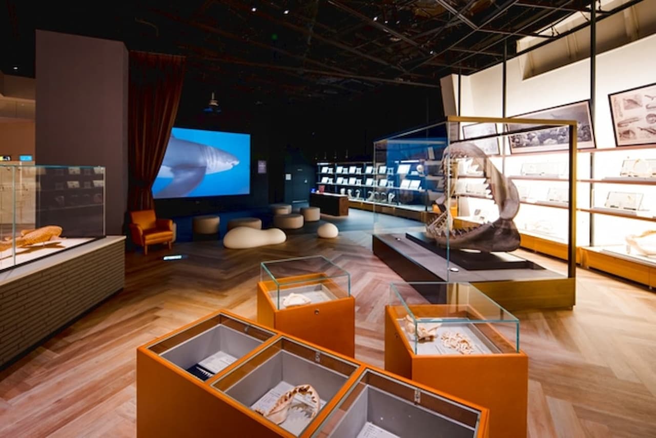 Aqua World Ibaraki Prefectural Oarai Aquarium Ticket - სურათი 9