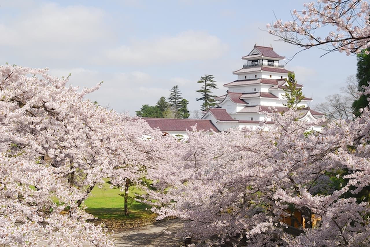 Tsurugajo Castle (Aizu-Wakamatsu Castle) Ticket - სურათი 6