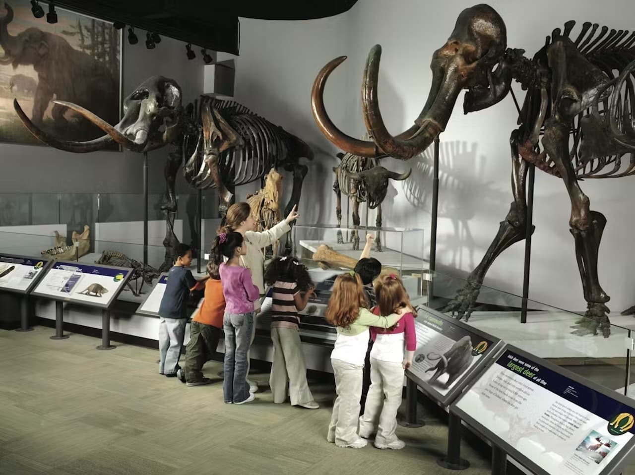 The Field Museum of Natural History Ticket - სურათი 3