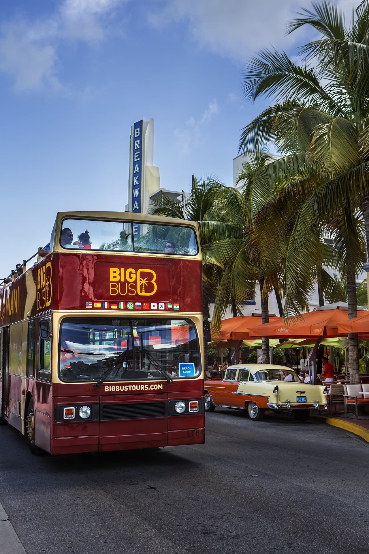 Big Bus Miami Hop-on Hop-off Bus Tour - სურათი 7