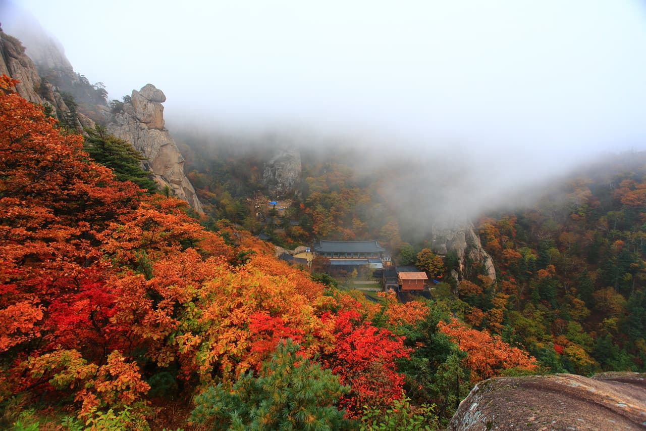 Mt. Seorak National Park Autumn Foliage One Day Tour from Seoul - სურათი 2