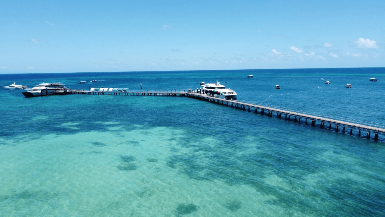 Green Island Great Barrier Reef Half Day Tour from Cairns - სურათი 8