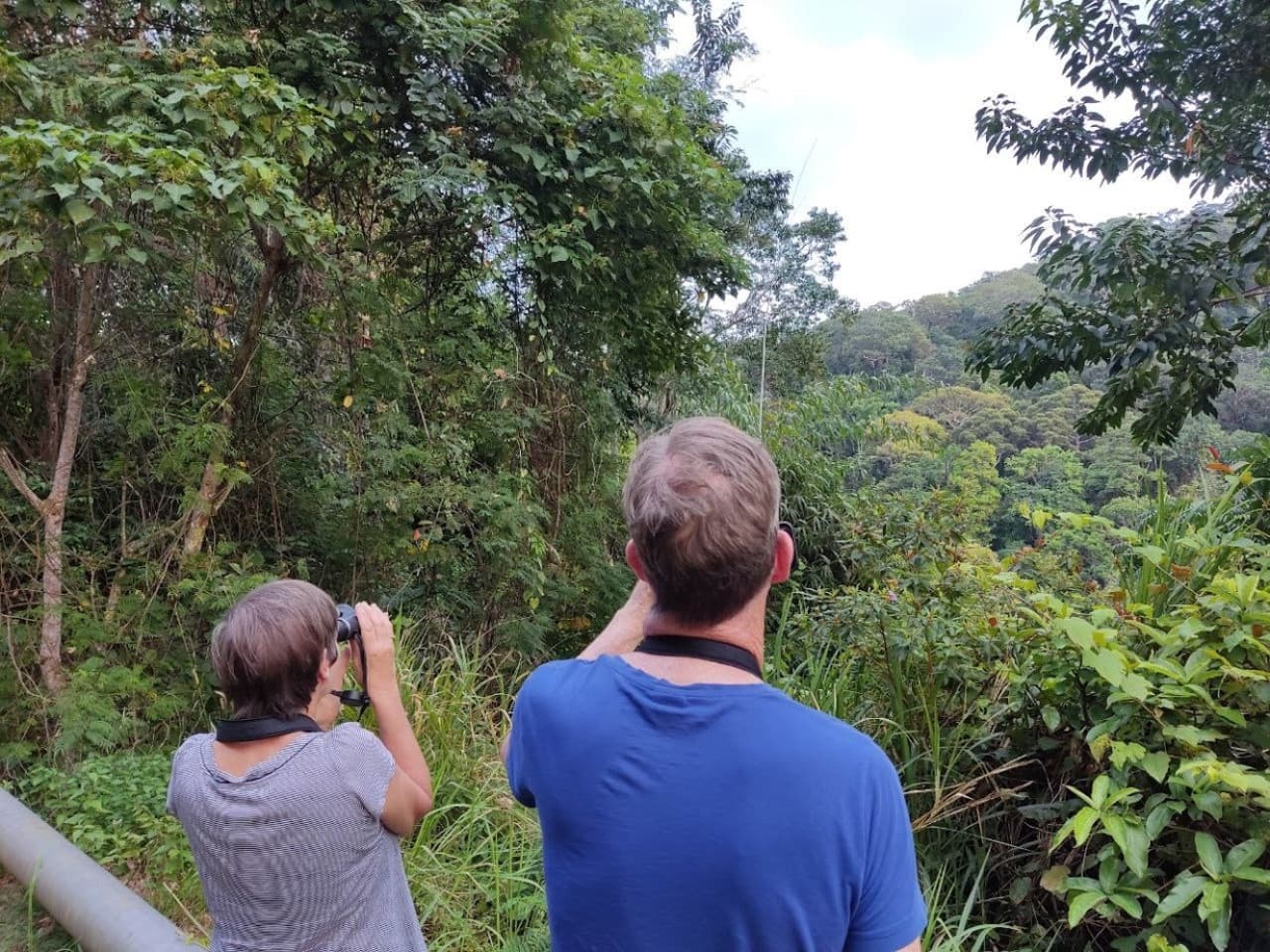 Langkawi Birdwatching Experience Tour - Half Day - სურათი 6