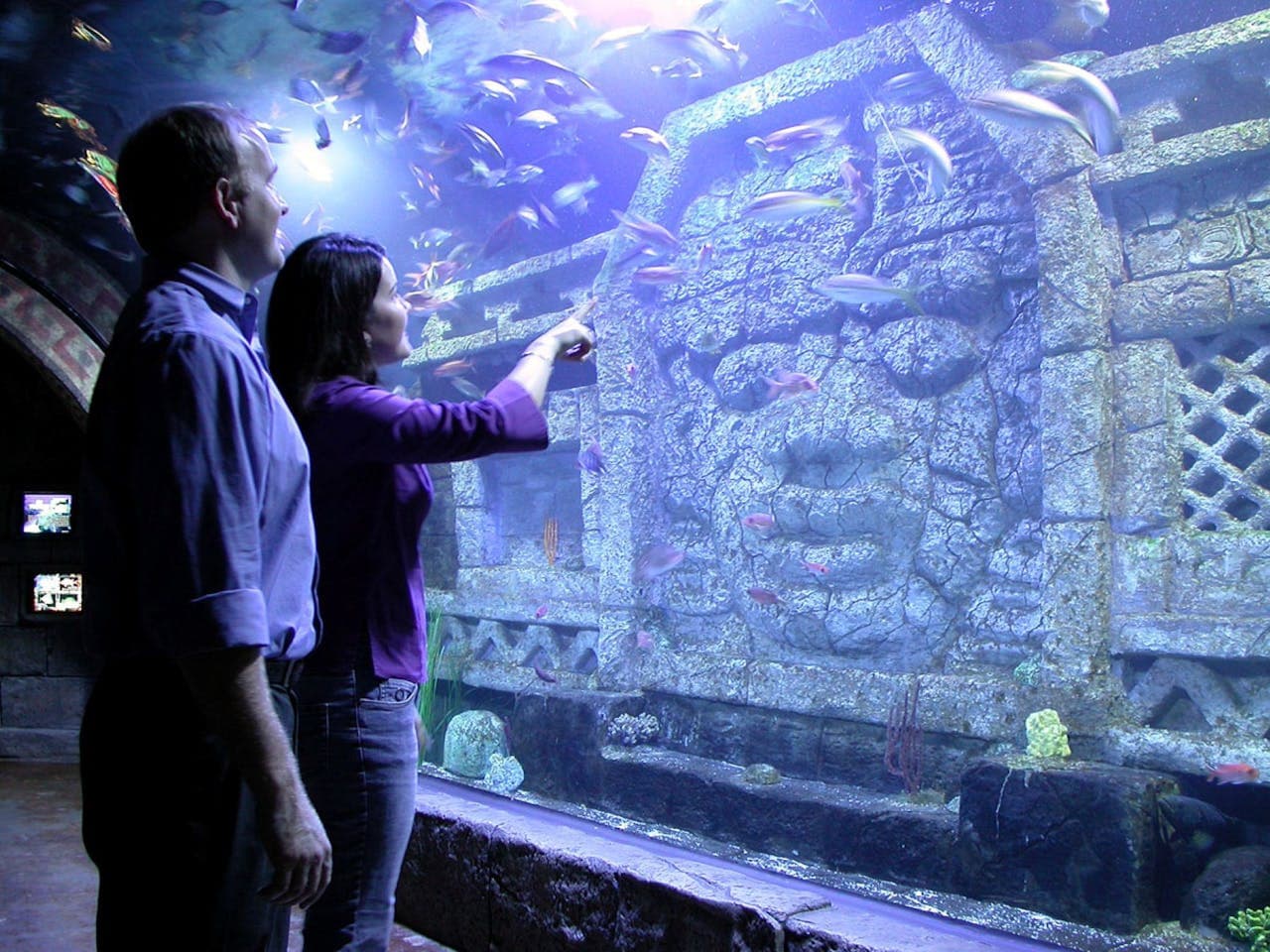 Downtown Aquarium Houston Ticket - მთავარი სურათი