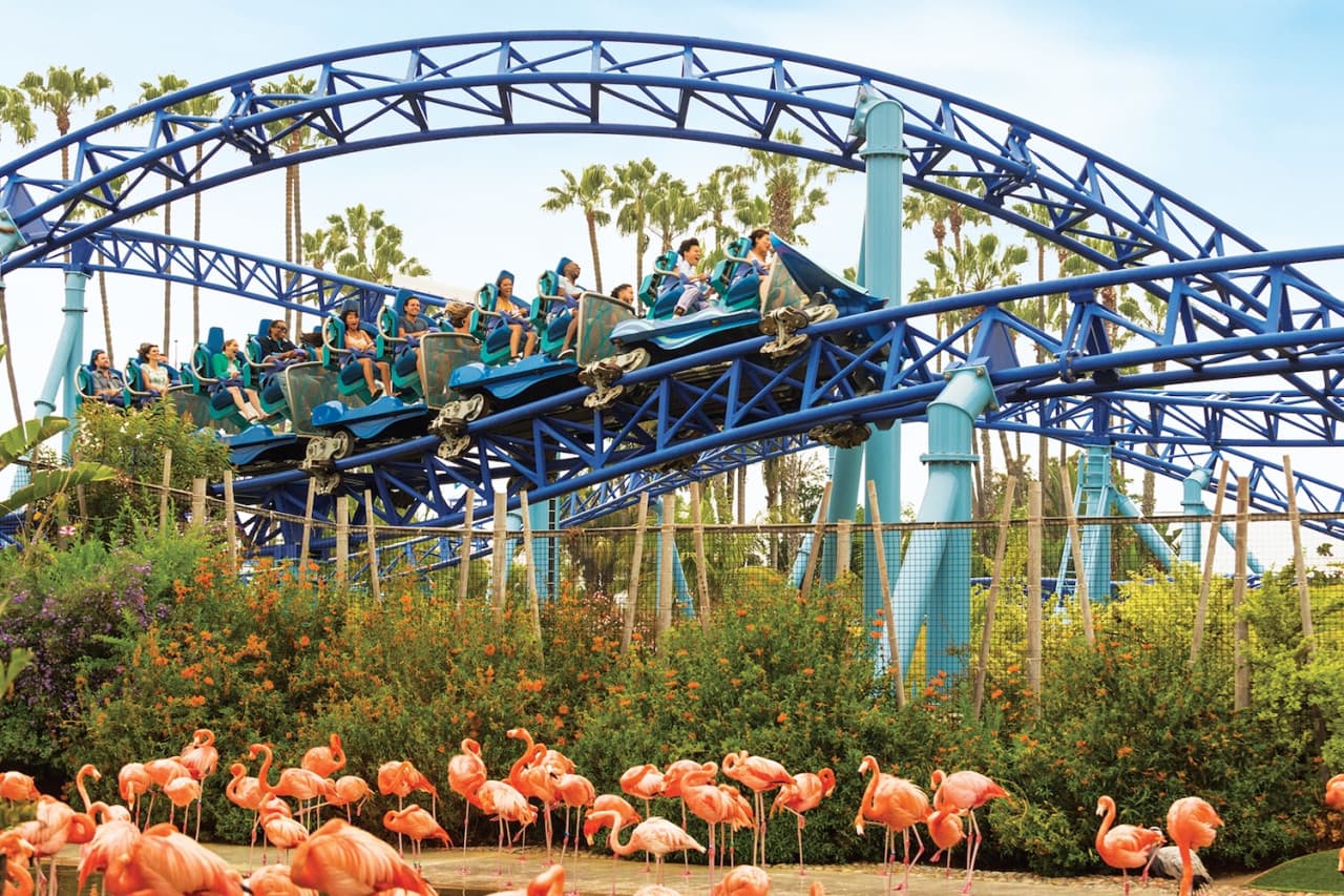 SeaWorld San Diego Ticket: Direct Entry - სურათი 4