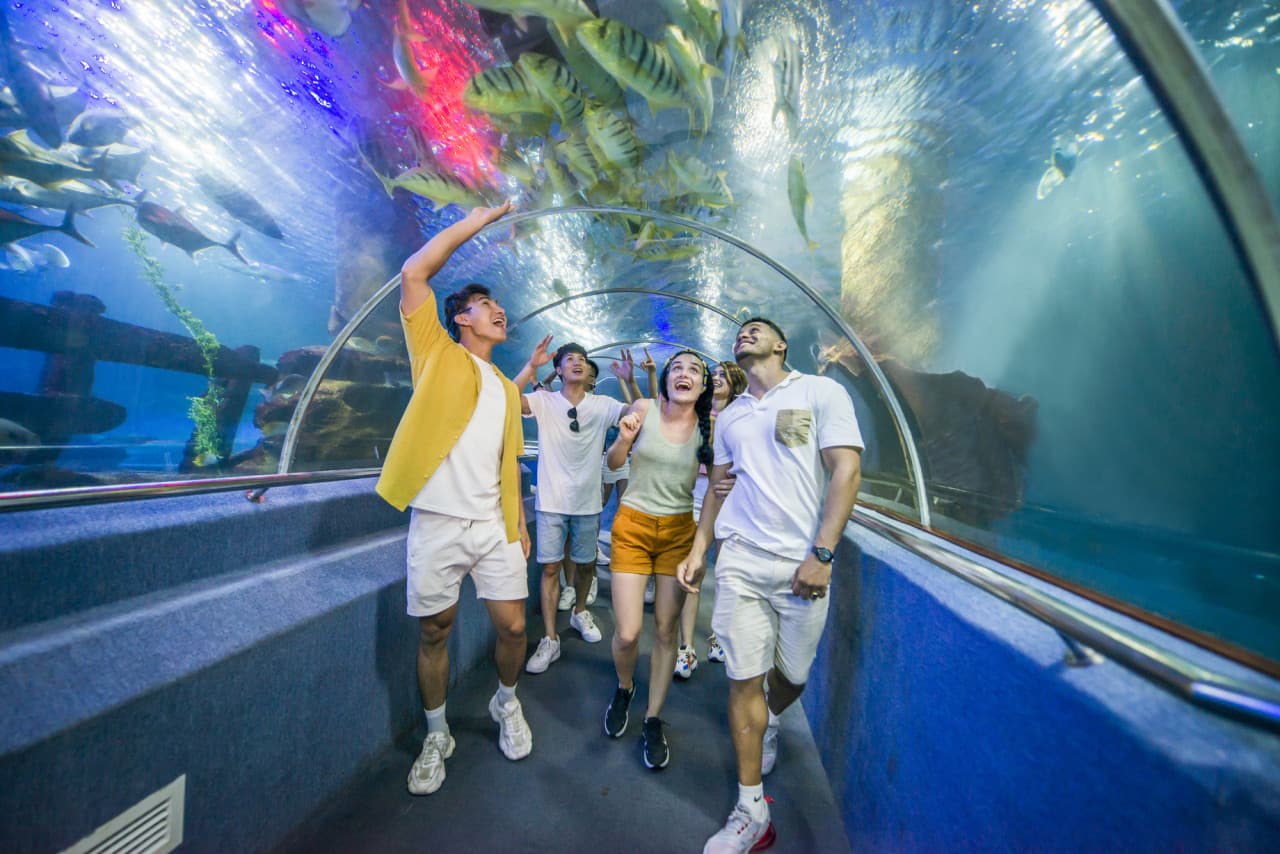 VinWonders Nha Trang Amusement Park Ticket - სურათი 13