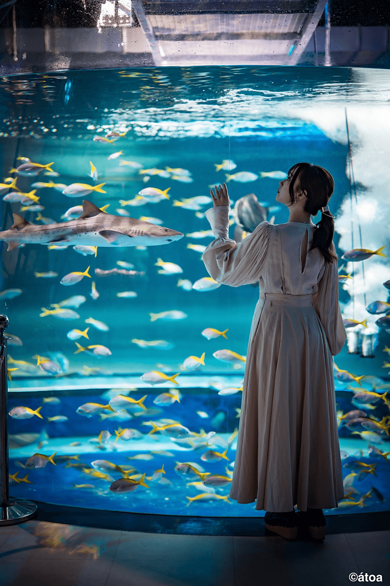 Kobe Urban AQUARIUM×ART atoa - სურათი 3