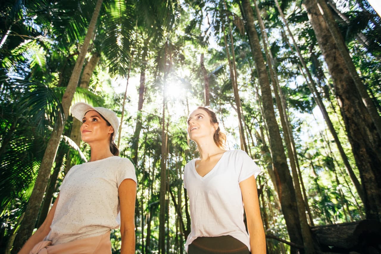Tamborine Mountain Guided Walk and Wine Tasting Tour - სურათი 3