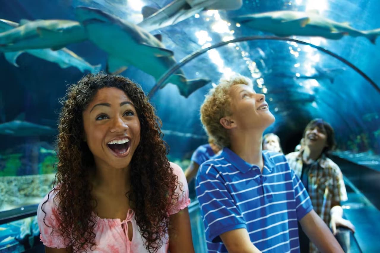 SeaWorld San Diego Ticket: Direct Entry - სურათი 17