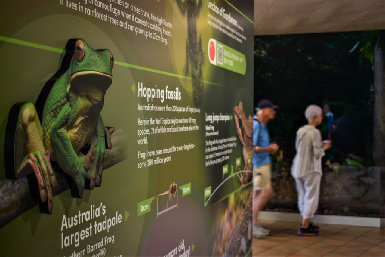 Skyrail Rainforest Cableway with Optional Kuranda Scenic Train Ticket and Hotel Pick-Up - სურათი 9