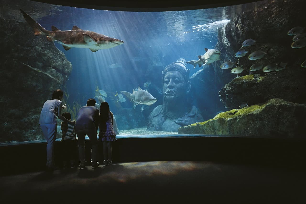 SEA LIFE Bangkok Ocean World Ticket - სურათი 2