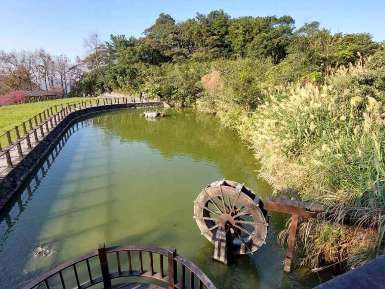 Pinglin Tea Culture and Maokong Full-Day Tour from Taipei - სურათი 15