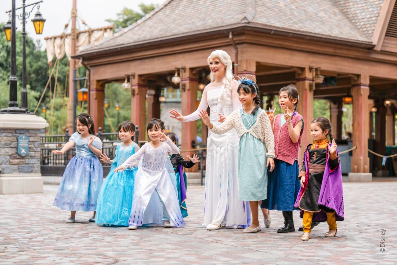 Hong Kong Disneyland Disney Premier Access Ticket - სურათი 21