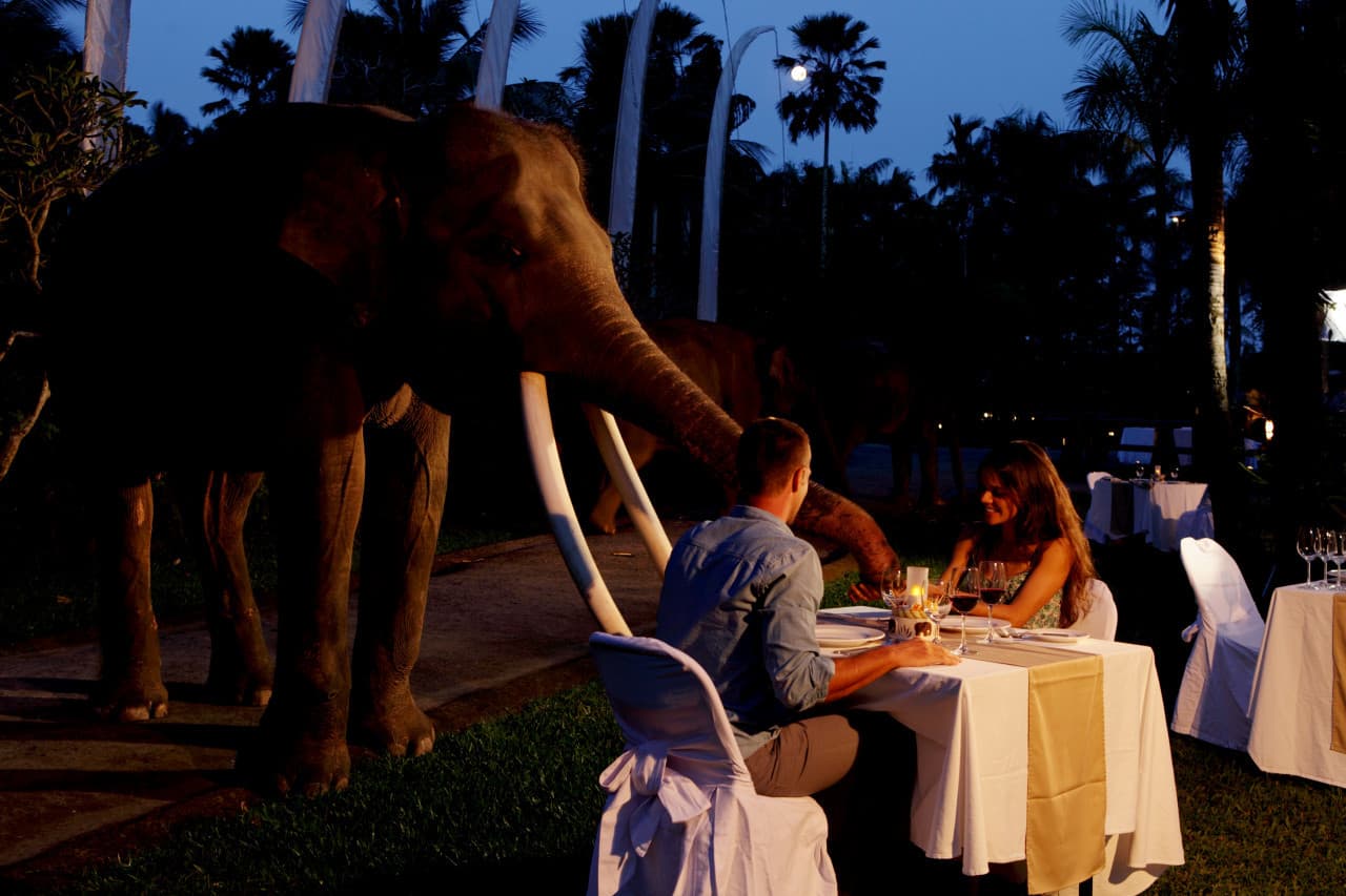 COMBO: Waterbom Bali + Mason Elephant Park Bali Tickets - სურათი 9