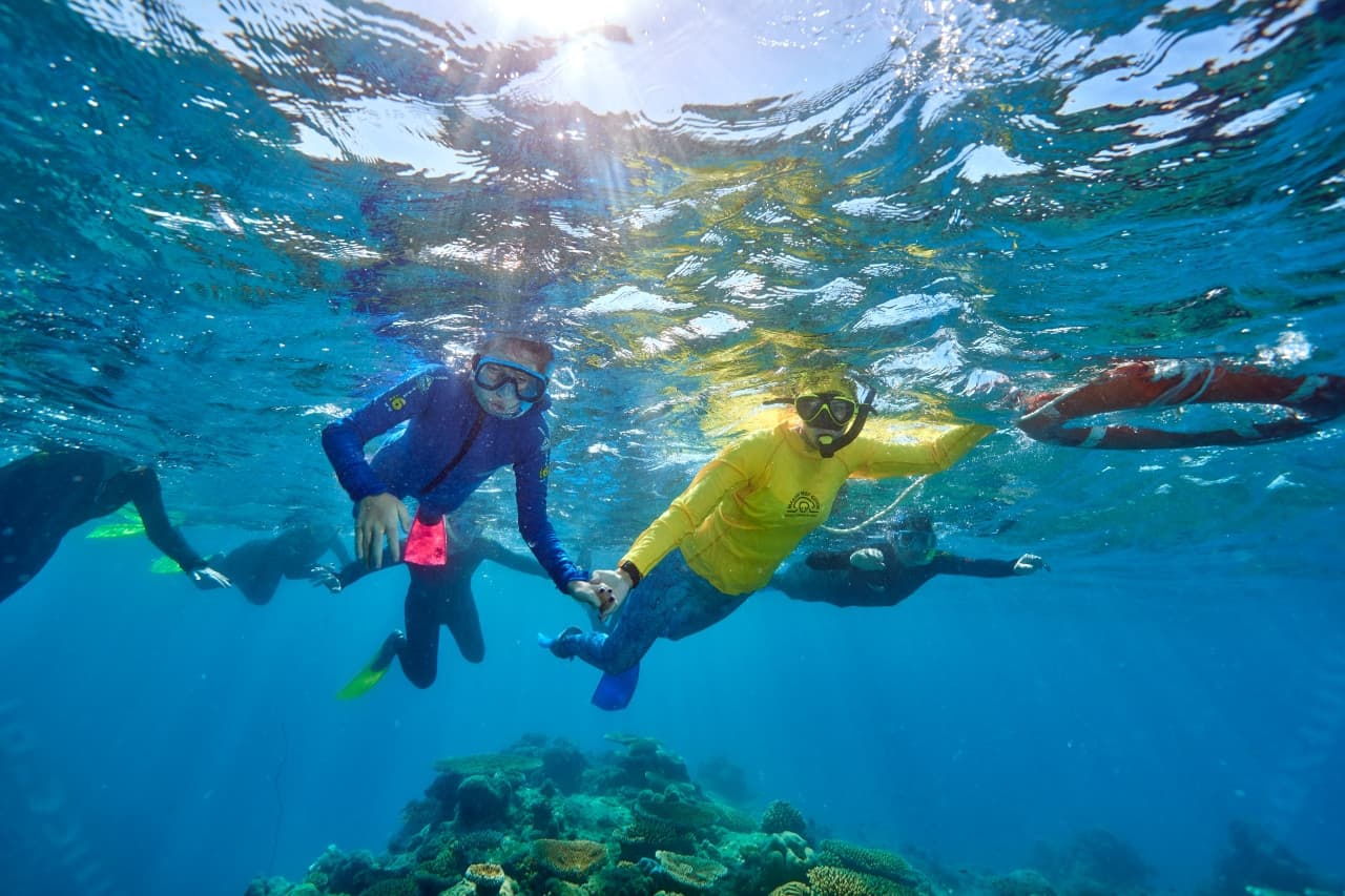 Green Island Great Barrier Reef Half Day Tour from Cairns - სურათი 6
