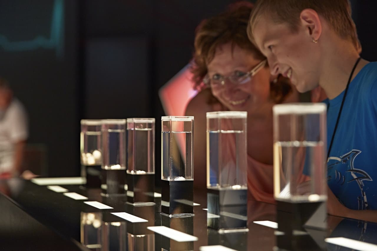 BODY WORLDS Berlin - სურათი 4