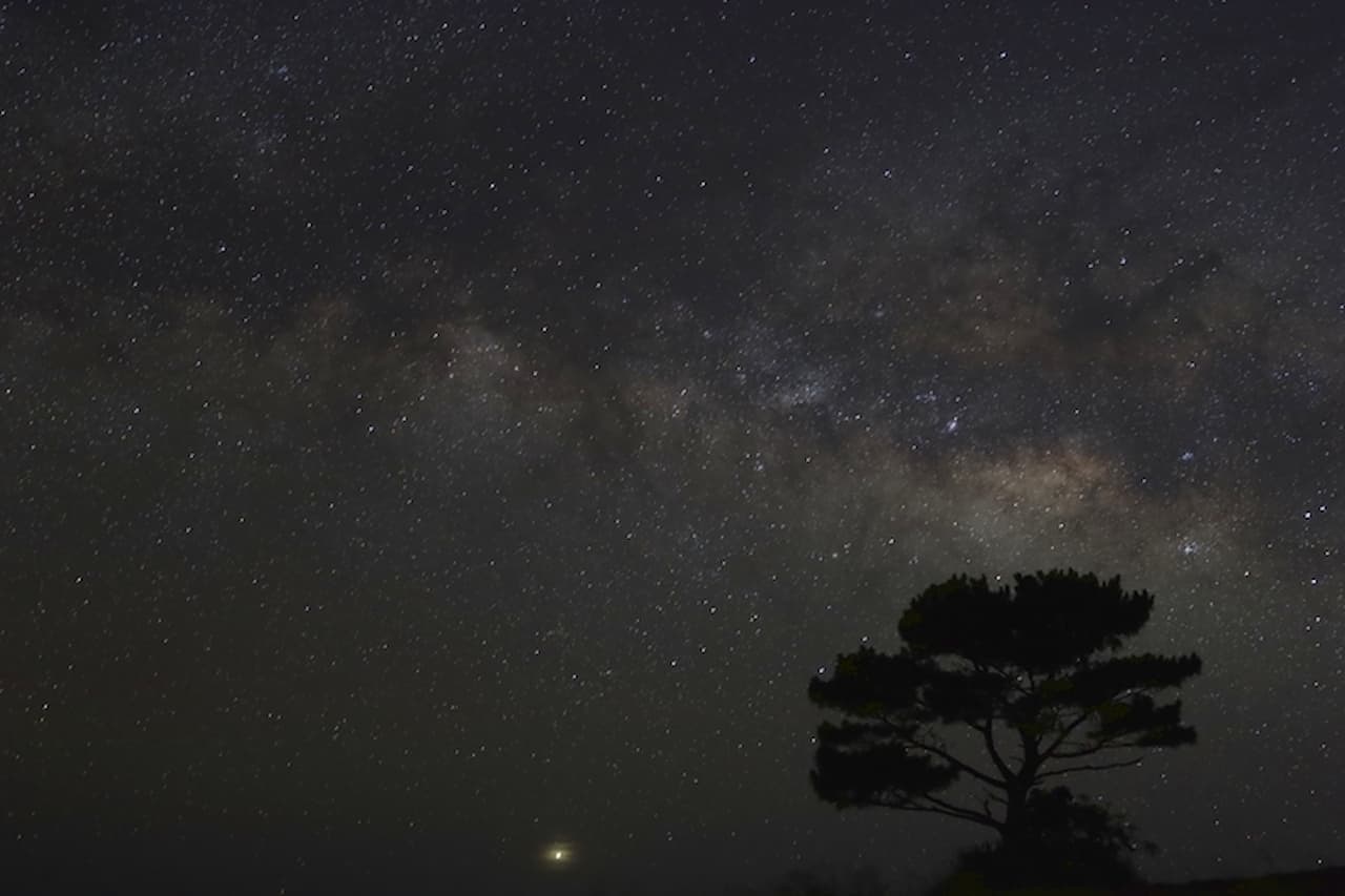 Ishigaki Island Stargazing Experience - სურათი 3