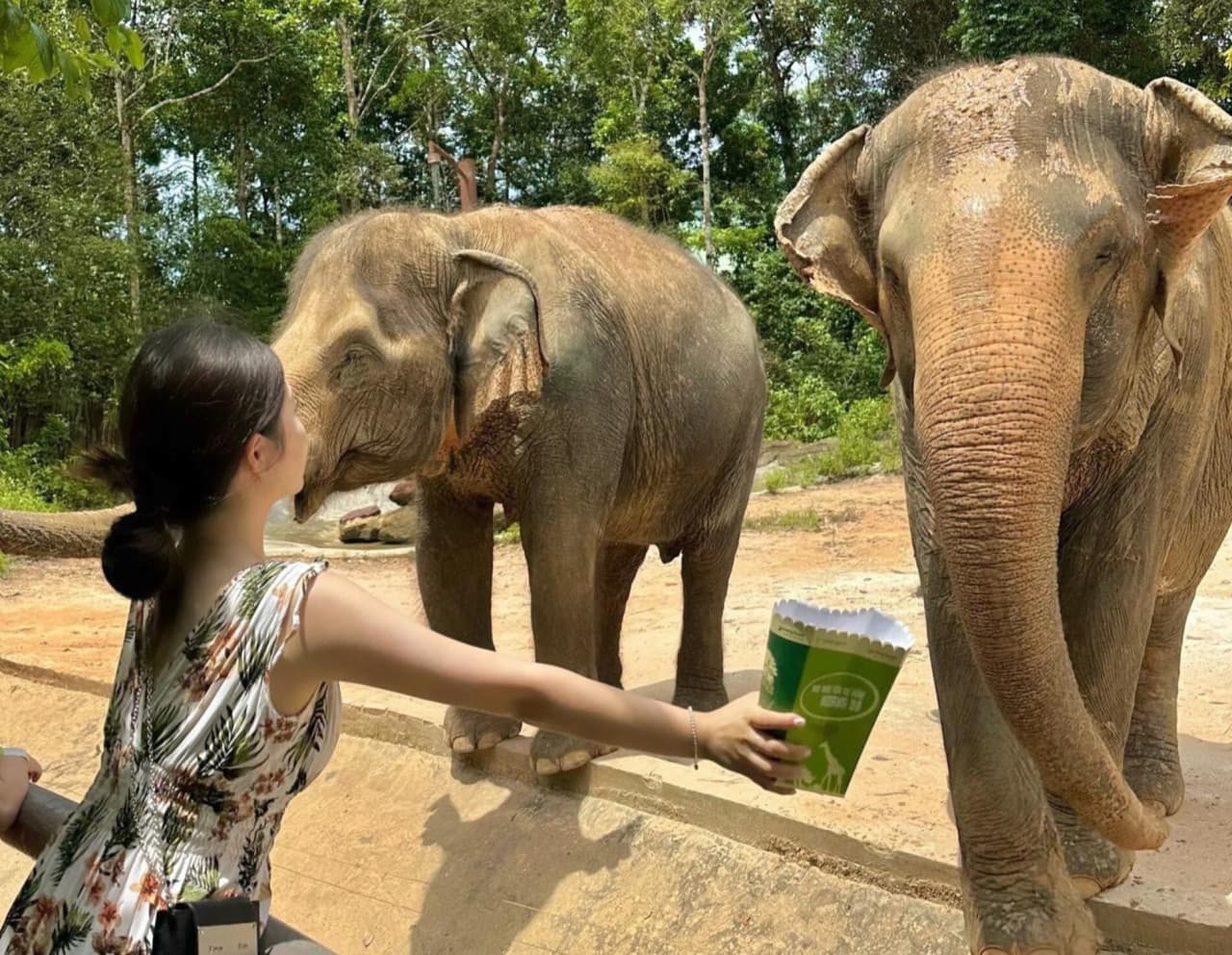 Vinpearl Safari Phu Quoc Ticket - სურათი 13