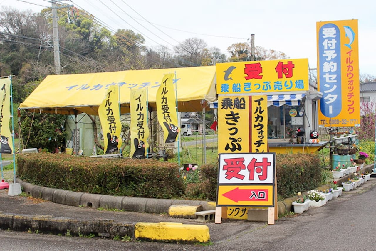 Dolphin Watching Experience in Amakusa - სურათი 8