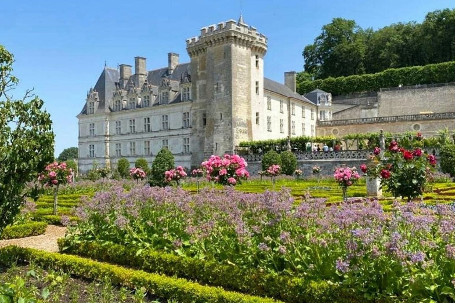 Chateau d'Azay-le-Rideau & Gardens of Villandry: Guided Trip from Tours - მთავარი სურათი