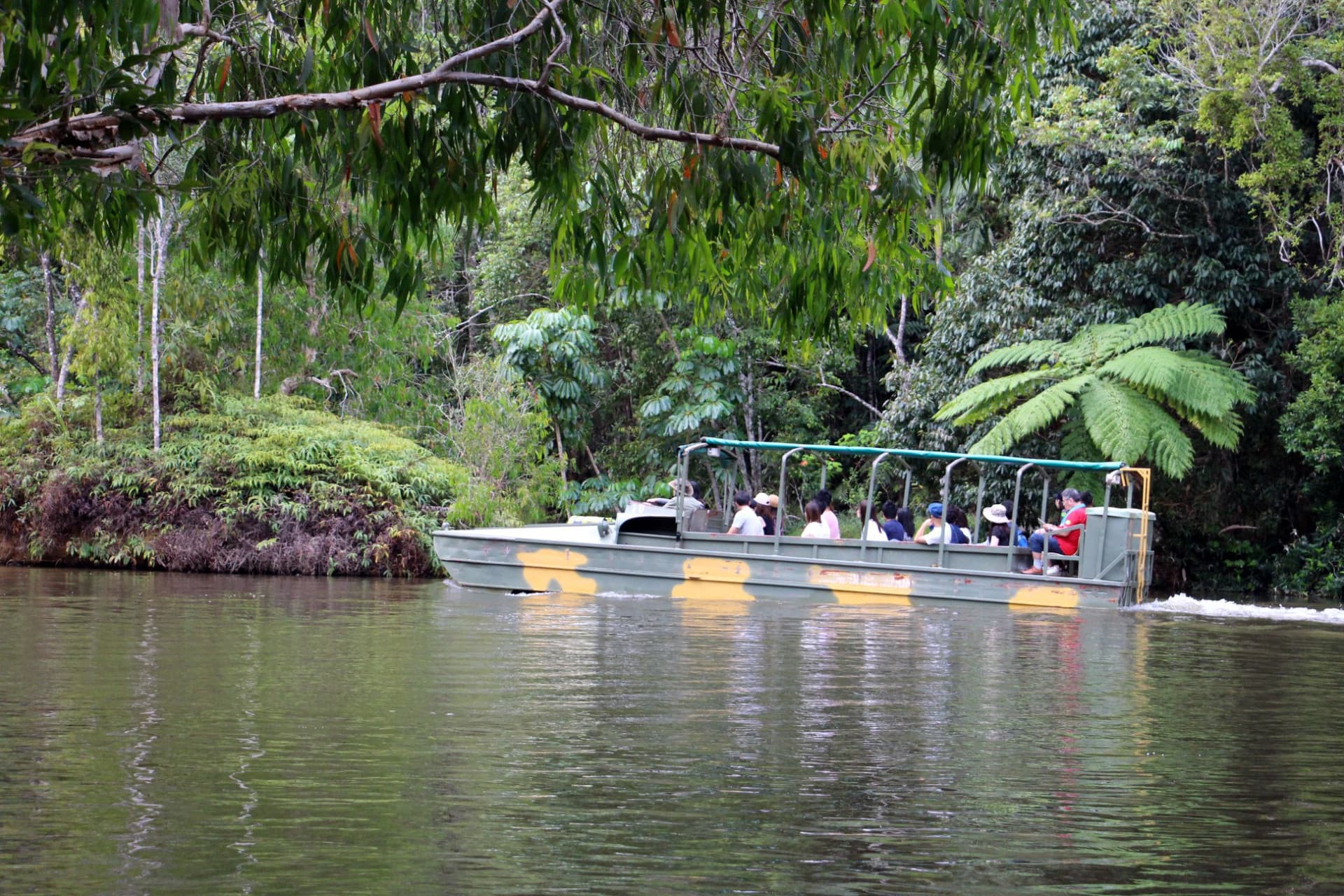 Kuranda Rainforestation Nature Park Full-Day Tour from Cairns with Skyrail Rainforest Cableway - სურათი 6