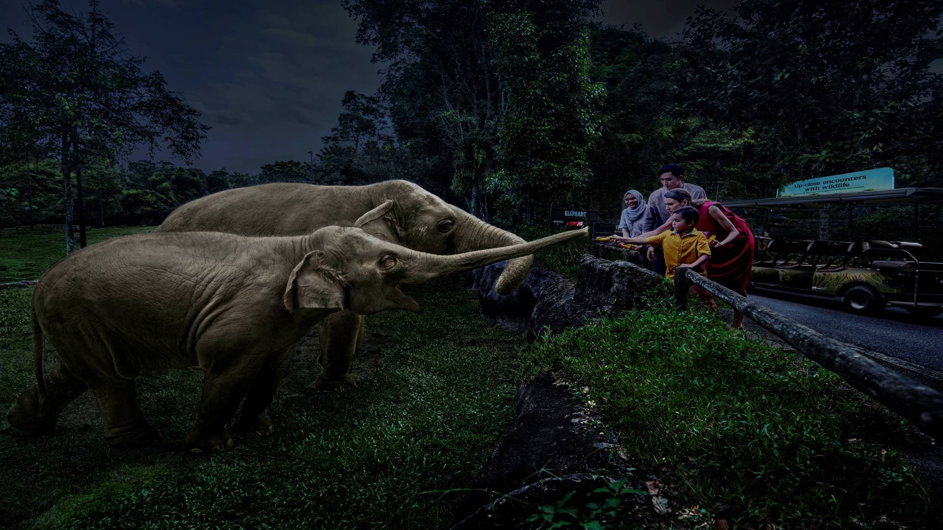 Singapore Night Safari Ticket - სურათი 6