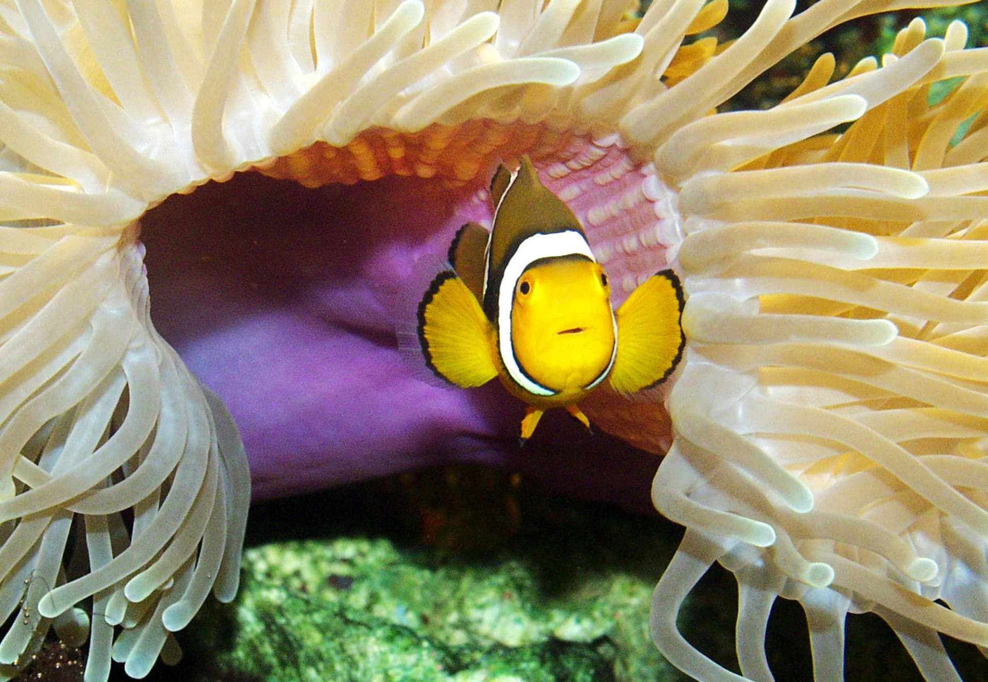 SEA LIFE Timmendorfer Strand Aquarium Ticket - სურათი 12