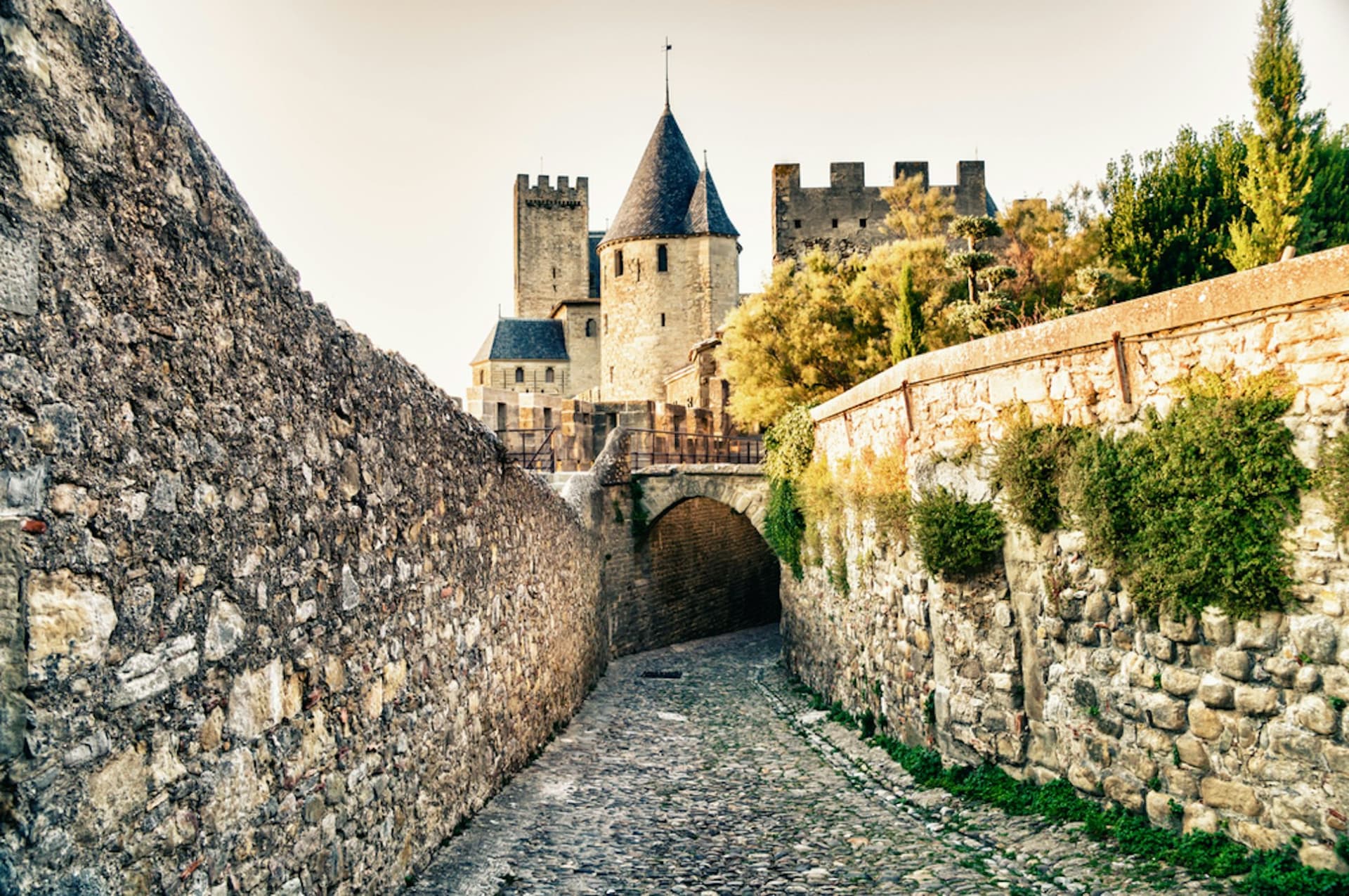 Cite de Carcassonne: Castle + Ramparts + Museum - მთავარი სურათი