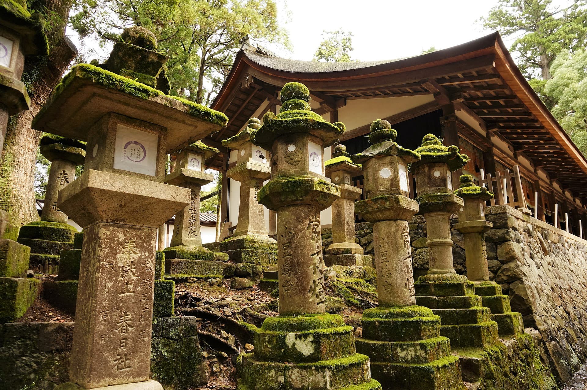 Nara Tour from Kyoto - სურათი 4