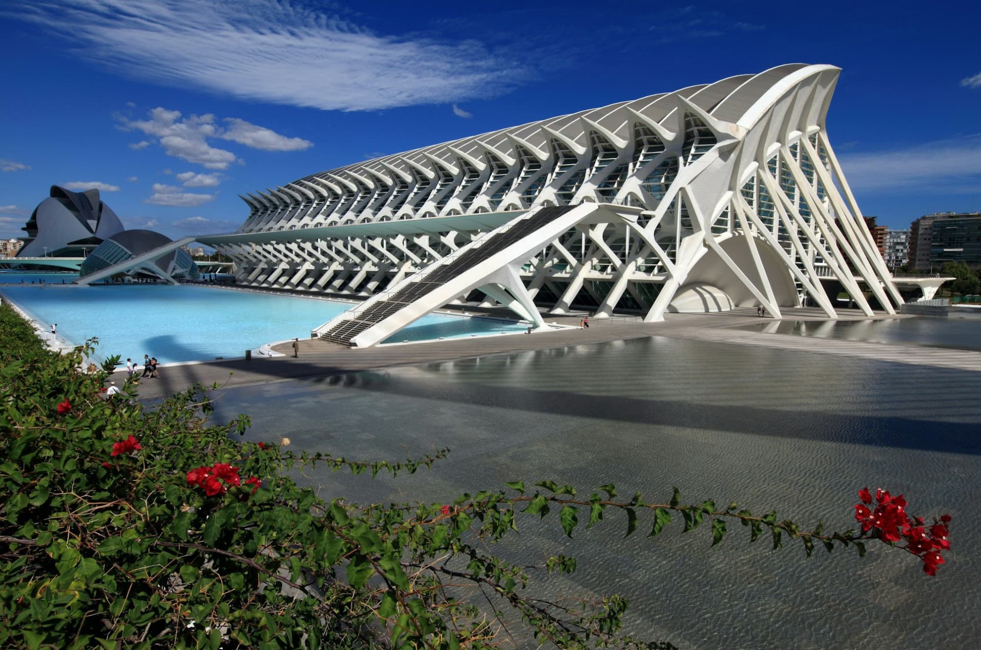 Science Museum Valencia Ticket - სურათი 4