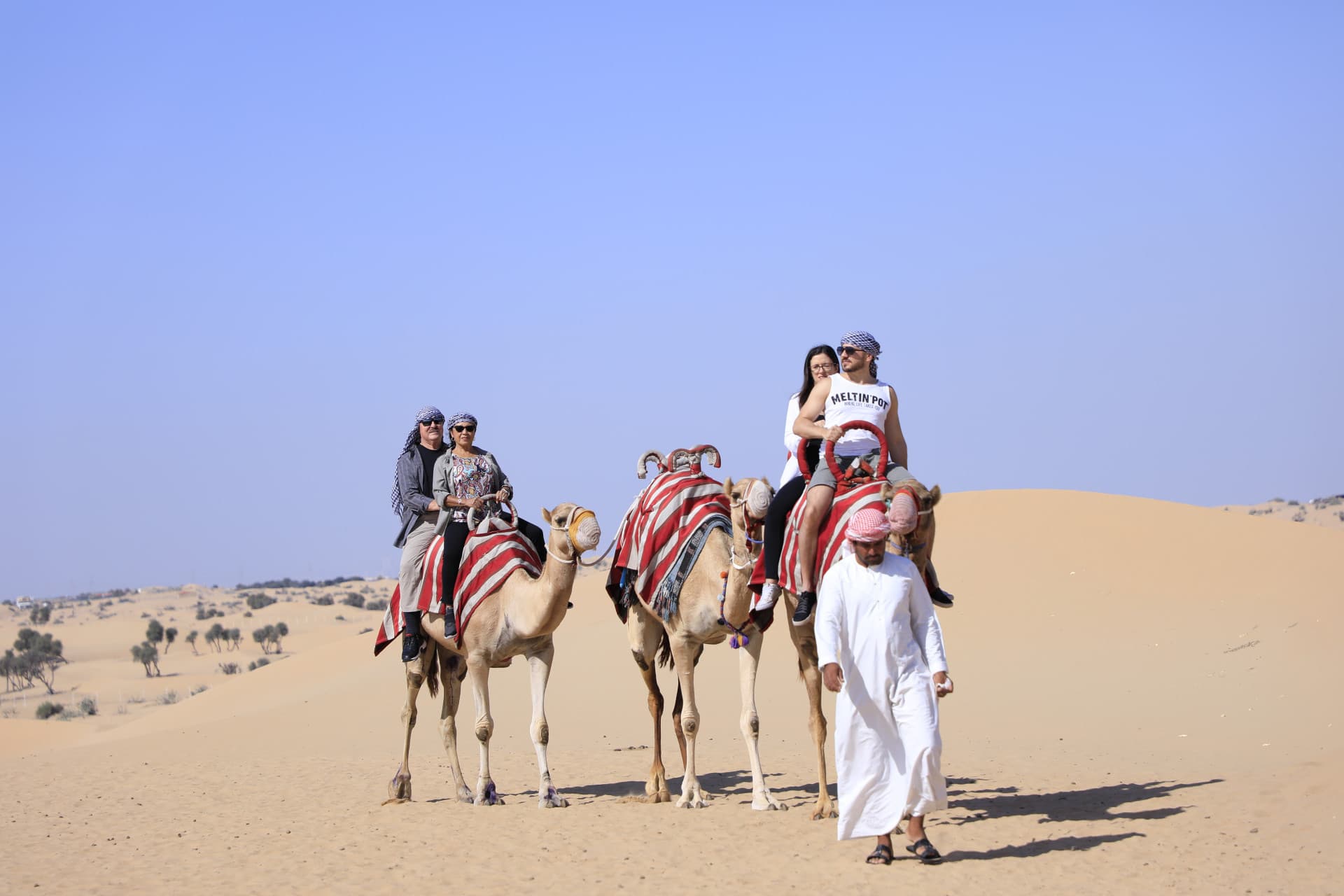 Half-Day Desert Safari, Camel Ride with Refreshments - სურათი 4