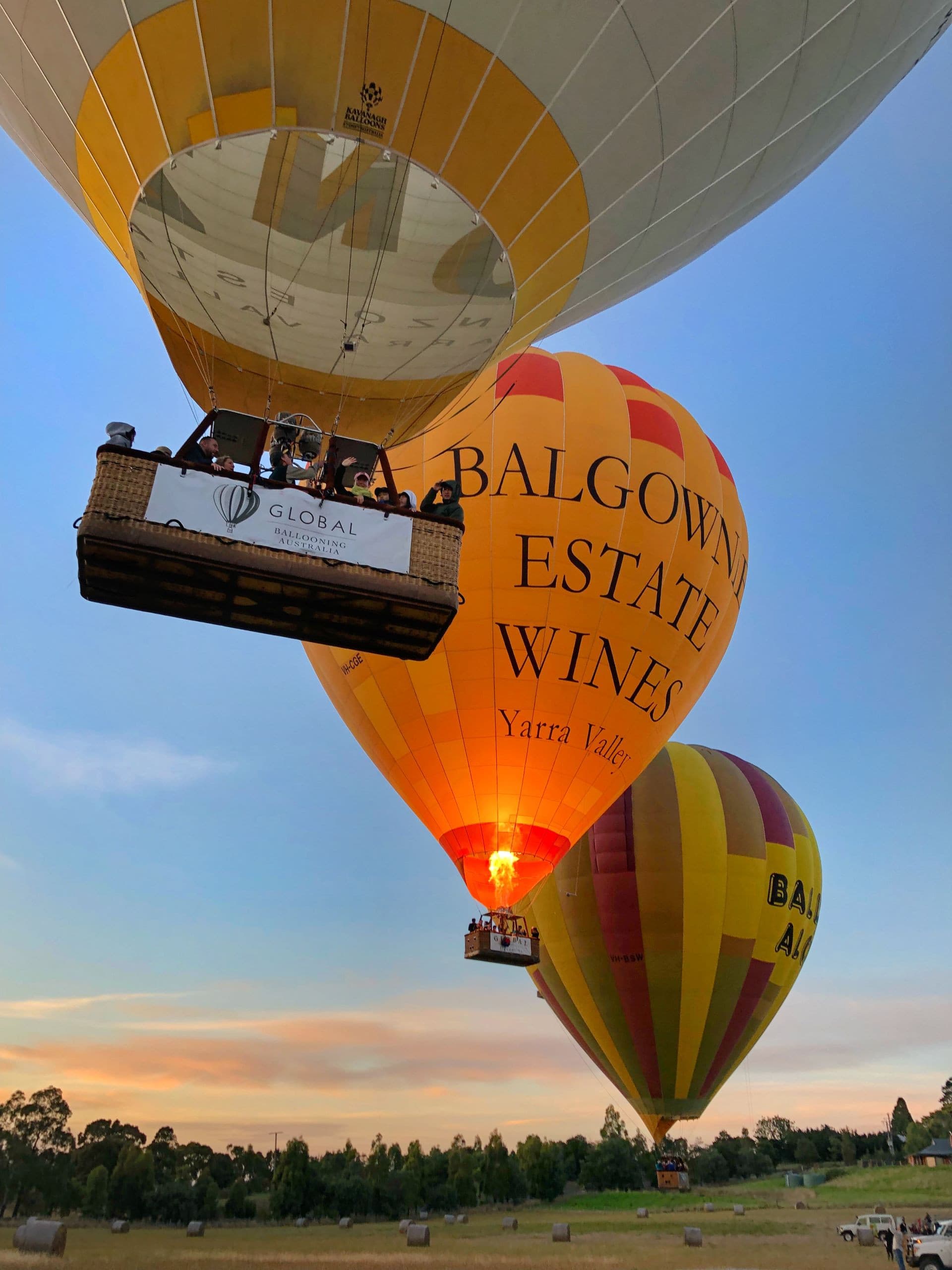 Sunrise Hot Air Balloon Flight over Yarra Valley with Photos - სურათი 10
