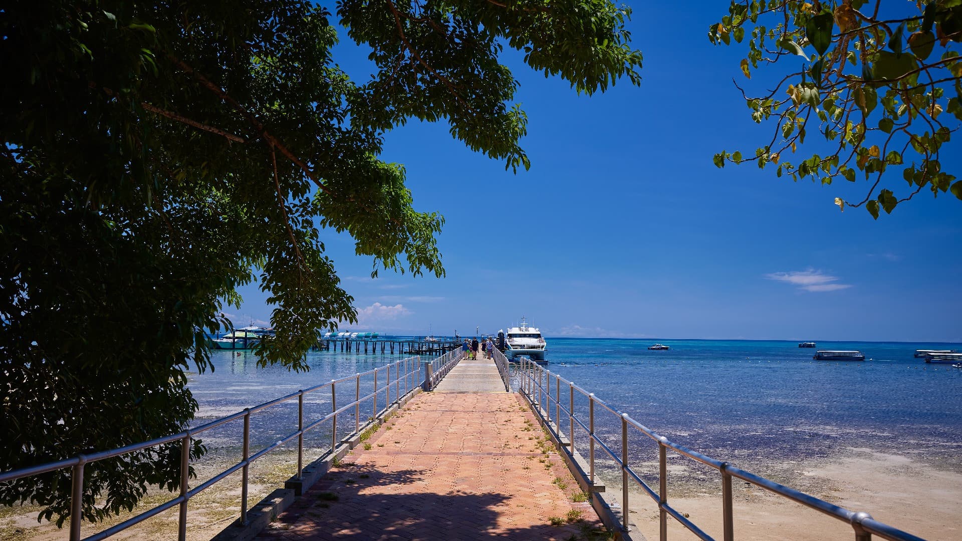 Green Island Great Barrier Reef Half Day Tour from Cairns - სურათი 10