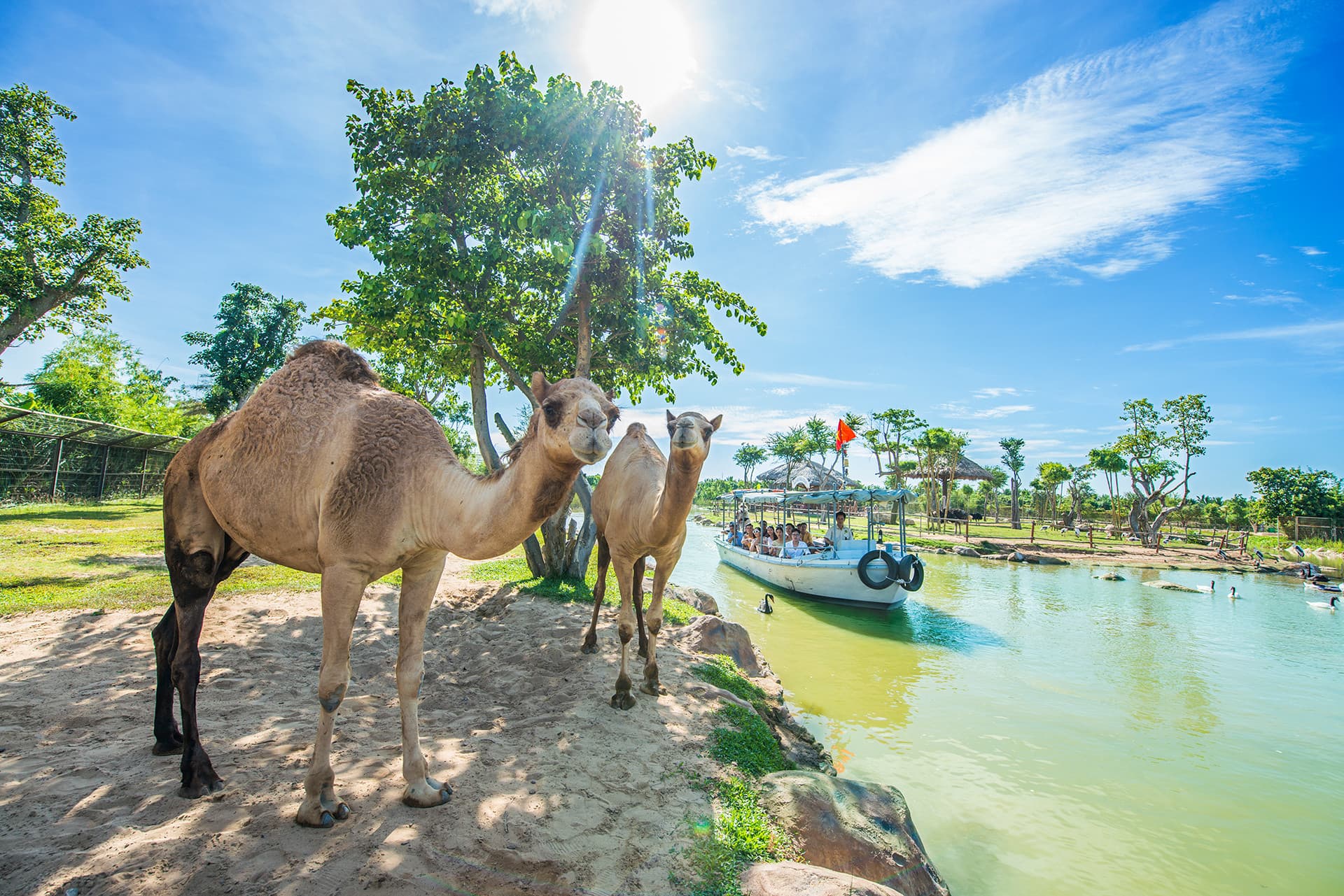 VinWonders Nam Hoi An Amusement Park Ticket - სურათი 13